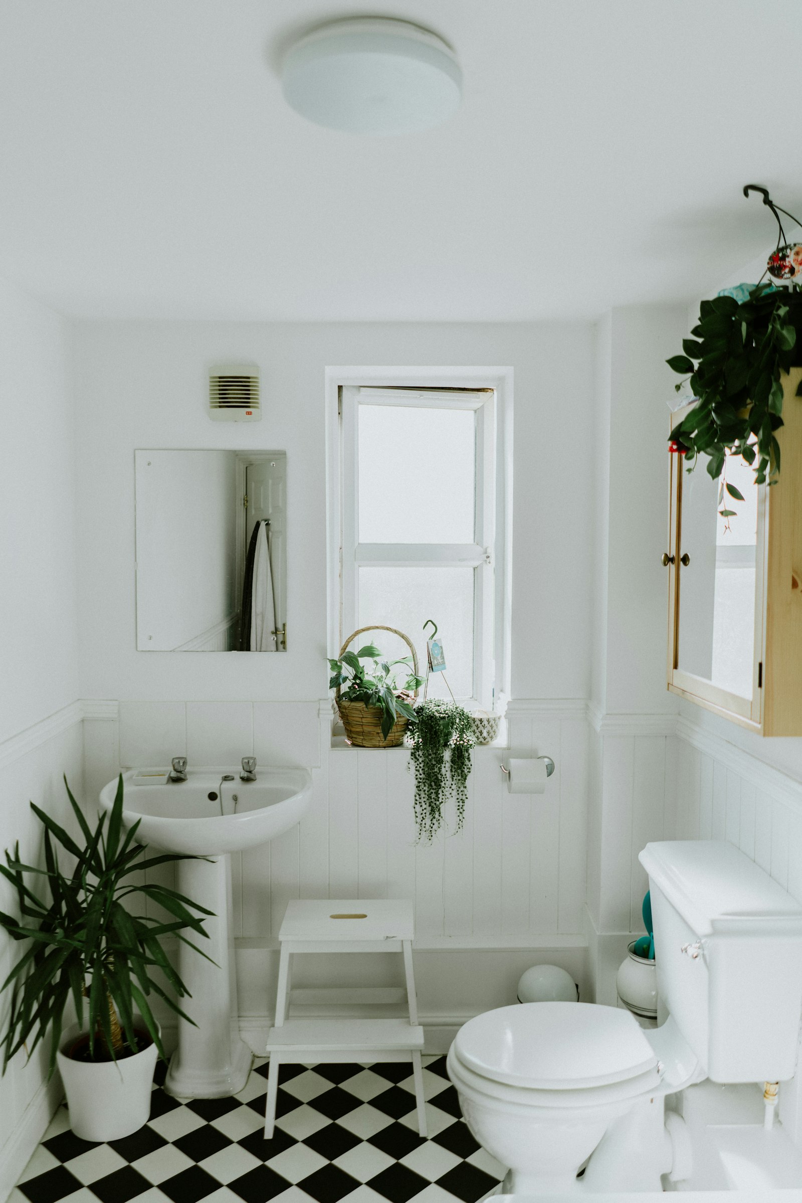 Ceramic and porcelain tile